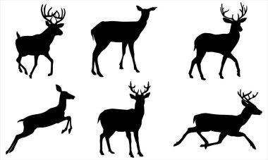 Zarif Geyik Siluetleri Vektör Toplama Geyiği, Doe, Fawn, Vahşi Yaşam, Orman Hayvanları
