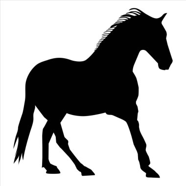 Zarif Siyah At Silueti Ayakta Duran Atlı Vektör Grafiği