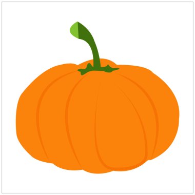 Beyaz arkaplanda sonbahar balkabağı izole