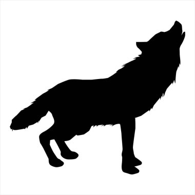 Beyaz arkaplanda kurt vektör simgesi