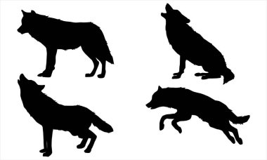 Kurt silueti vektörü ayarlandı