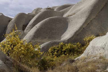 Aşk Vadisi Göreme Köyü, Türkiye'de. Kırsal Cappadocia manzara.
