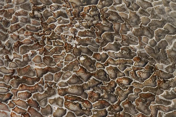 doku soyut mineral taş, traverten oluşumu.