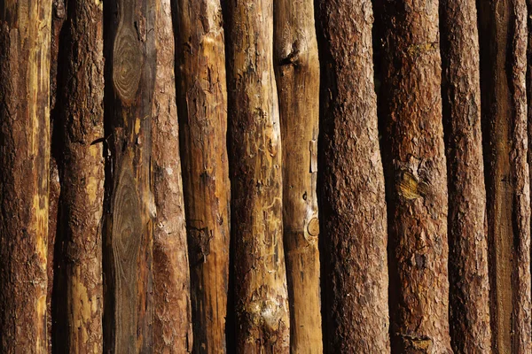 Ahşap doku arka planı. Bir sürü orman.