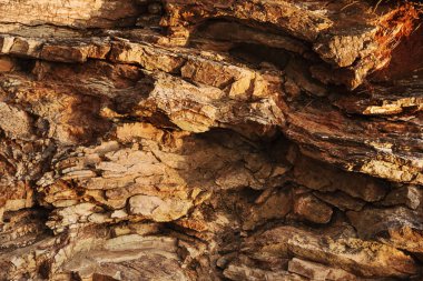 Birçok deniz kaya, büyük kayalar ve küçük kayalar. Deniz doku kayalar