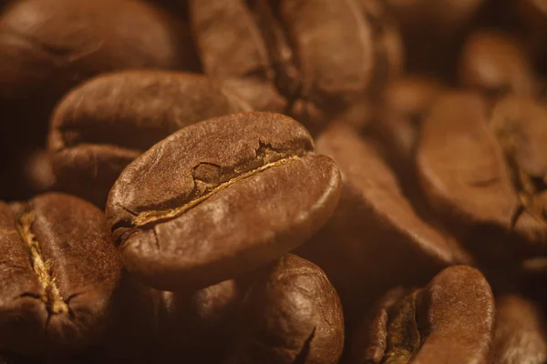 Koffie smaak geroosterde graan close-up, bruin kleur. — Stockfoto