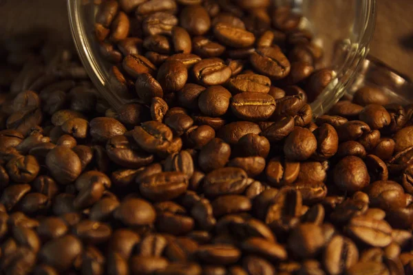 Geurige geroosterde koffiebonen bruin en kopje — Stockfoto