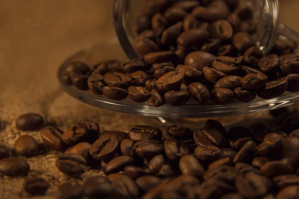 Koffiekopjes en koffiebonen aromatische koffie — Stockfoto