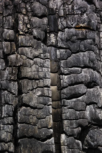 Detalhes com textura de superfície padronizada de madeira queimada — Fotografia de Stock