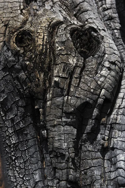 Yanmış ahşap desenli yüzey dokusu ile ayrıntılar