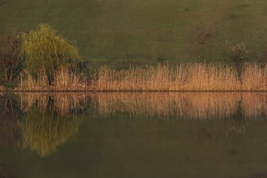 Gölde baharda güneşli sabah, yansıma arka plan