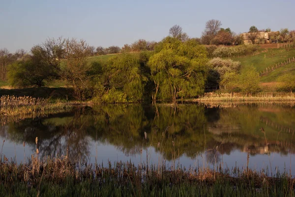 Matin ensoleillé au printemps sur le lac, fond de réflexion — Photo