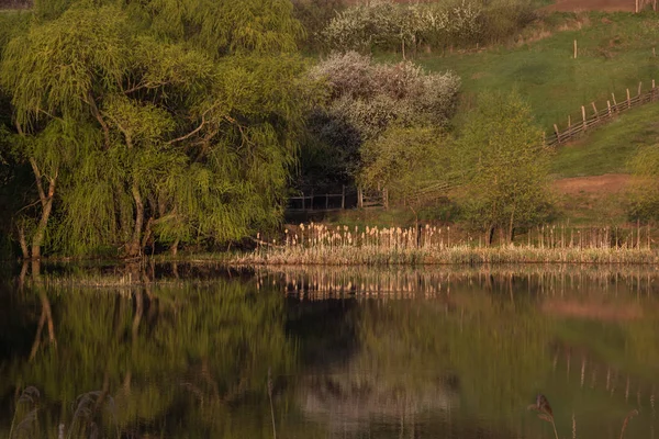 Mañana soleada en la primavera en el lago, fondo de reflexión — Foto de Stock