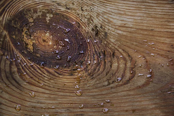 Tahta, kesik, ahşap doku çizimi, doğal, yağmur damlaları, arkaplan