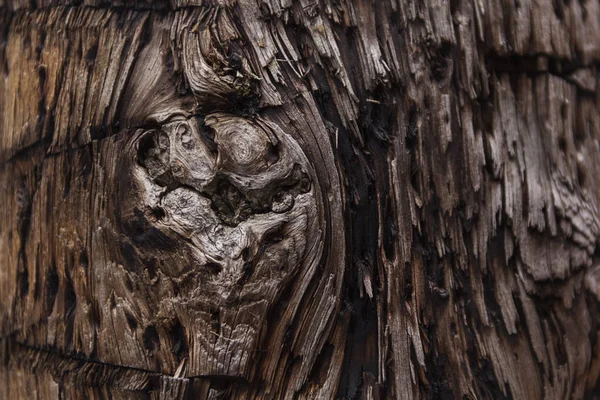 Texture de vieux bois avec fissures, fond — Photo