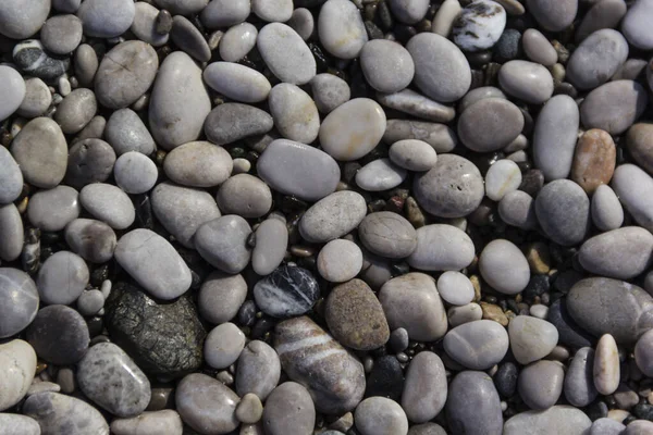 Playa de guijarros de la costa del Egeo, Turquía — Foto de Stock