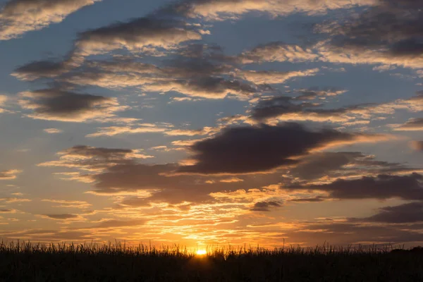 Oranje hemel in de wolken bij zonsondergang achtergrond maïs — Stockfoto