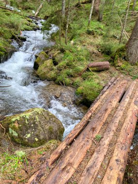Kerestelerden yapılmış Rustik tahta köprü Karpatlar 'daki dağ deresini geçiyor. Ormanın yeşillikleriyle çevrili kayalar arasında berrak su akıyor..