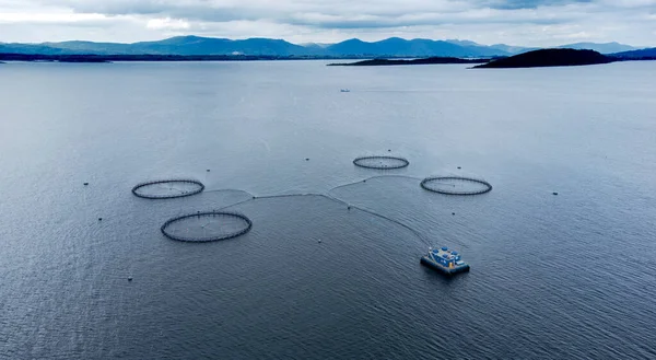 Everest Dağı (solda), Lhotse Dağı, Lhotse Shar Dağı (solda) ve Sagarmatha Ulusal Parkı 'ndaki Ama Dablam Dağı' nı gösteren panorama