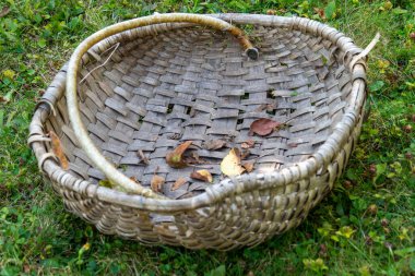 Etrafına yapraklar saçılmış bir sepet çimlerin üzerinde duruyor. Sepet eski ve yıpranmış ve yapraklar kahverengi. Sahnede çürüme ve terk edilme hissi var.