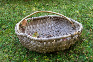 Etrafına yapraklar saçılmış bir sepet çimlerin üzerinde oturuyor. Sepet eski ve yıpranmış ve boş. Sahnenin huzurlu ve huzurlu bir havası var.