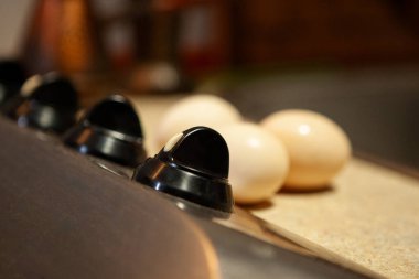 Baharat kavanozlarının yanındaki mutfak tezgahına iki kahverengi yumurta yerleştirilir. Kırsal kesimde doğal malzemeler ve ev yemeği atmosferi ön plana çıkıyor..