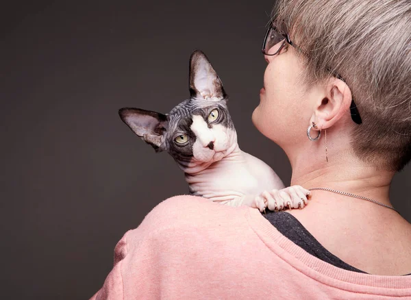 Orta yaşlı bir kadın Kanadalı Sphynx kedisini kucaklıyor ve içeride pembe bir süveter ve koyu bir arka planda gözlük giyerken gözlerini kaçırıyor..