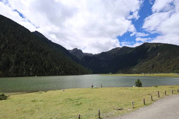Arka planda çimenli kıyı şeridi ve ağaç kaplı manzaralı dağ gölü, açık hava macerası, seyahat ve el değmemiş çevreyi vurgulayan huzurlu doğal manzara.