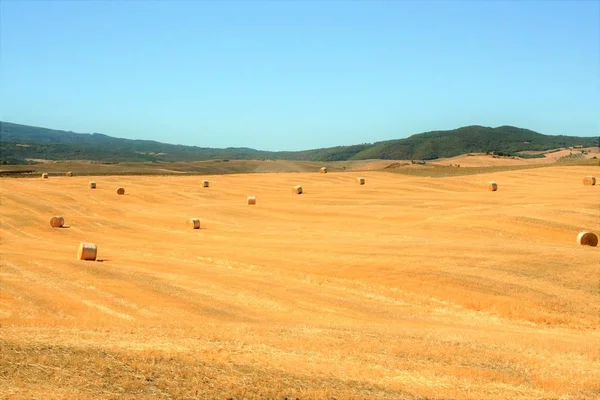 stock image Tuscan countryside and crete, Siena, Italy