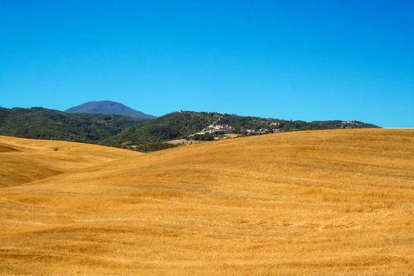 Tuscan Countryside Crete Siena Italy — Stock Photo, Image