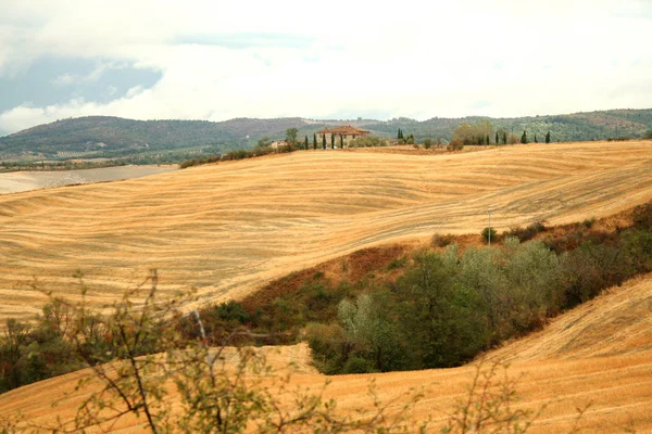 San Quirico Orcia Italia Pada 2012 Landscape Crete Senesi Pada — Stok Foto