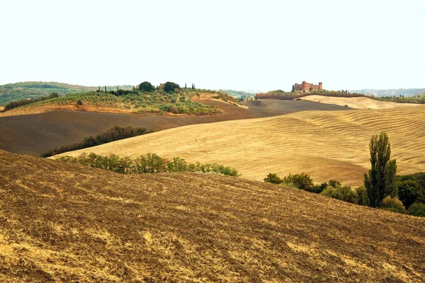 San Quirico Orcia Italia Pada 2012 Landscape Crete Senesi Pada — Stok Foto