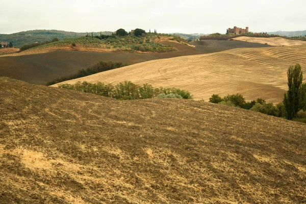 San Quirico Orcia Italia Pada 2012 Landscape Crete Senesi Pada — Stok Foto