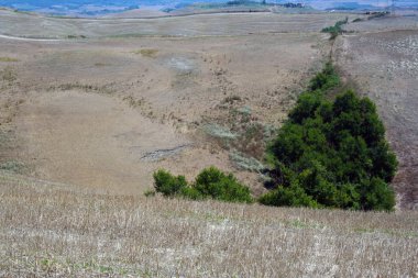 San Quirico d'Orcia - İtalya - 08/30/2012-peyzaj Girit senesi yaz üzerinde