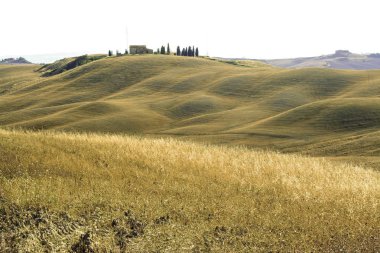 San Quirico d'Orcia - İtalya - 08/30/2012-peyzaj Girit senesi yaz üzerinde