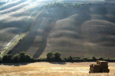 San Quirico d'Orcia - İtalya - 08/30/2012-peyzaj Girit senesi yaz üzerinde