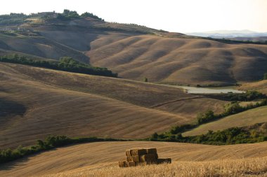San Quirico d'Orcia - İtalya - 08/30/2012-peyzaj Girit senesi yaz üzerinde