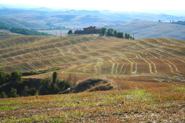 San Quirico Orcia Italia Pada 2012 Landscape Crete Senesi Pada — Stok Foto