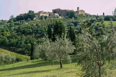 Tuscan kırsal etrafında sant'antimo abbey adlı Montalcino, İtalya 