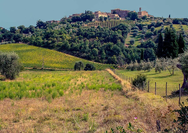 Toskanska Landsbygden Runt Santʼantimo Abbey Montalcino Italien — Stockfoto