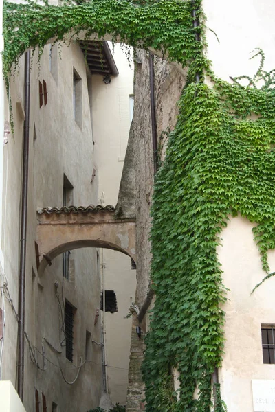 Una Strada Spoleto Con Mura Ricoperte Edera Umbria Italia — Foto Stock