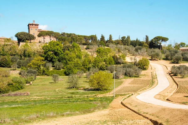 Krajobraz Toskanii Val Chiana Siena — Zdjęcie stockowe