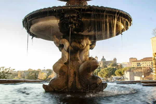 Innenhof Des Rinascimentalen Rathauses Von Viterbo Mit Einem Brunnen Und — Stockfoto