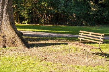 güneşli bir günde bir parkta ahşap Bank 