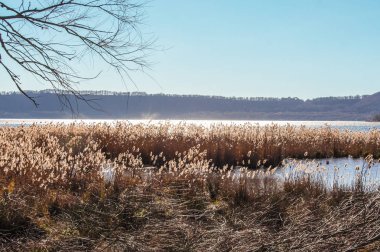 Göl Vico, Viterbo, Lazio İtalya'nın doğal rezerv