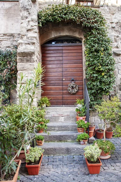 Holztür Auf Einer Steinmauer Mit Efeu Mittelalterlichen Viertel Von Viterbo — Stockfoto