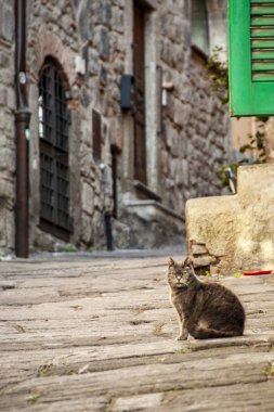  Ortaçağ San Pellegrino bölge, Viterbo, Lazio, İtalya