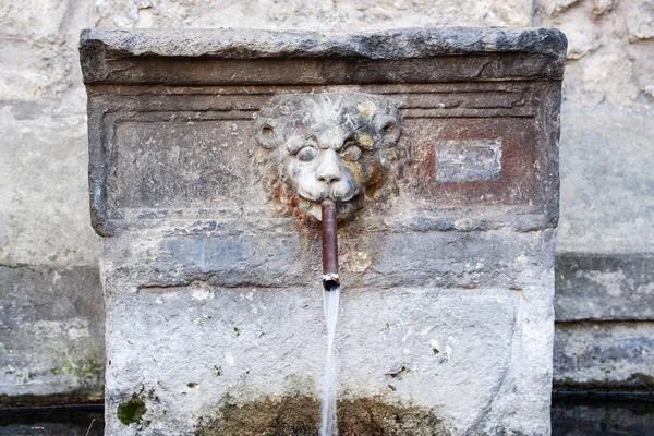 イタリア ラツィオ州ヴィテルボでサンペレグリノの中世地区のライオンの頭を表す古い噴水 — ストック写真