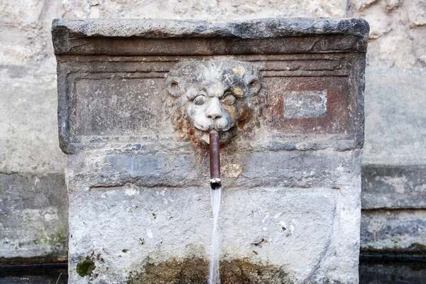 Oude Fontein Vertegenwoordigt Het Hoofd Van Een Leeuw Middeleeuwse Wijk — Stockfoto