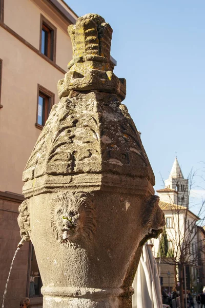 Fontana Grande Grande Fonte Praça Epônima Viterbo Itália — Fotografia de Stock